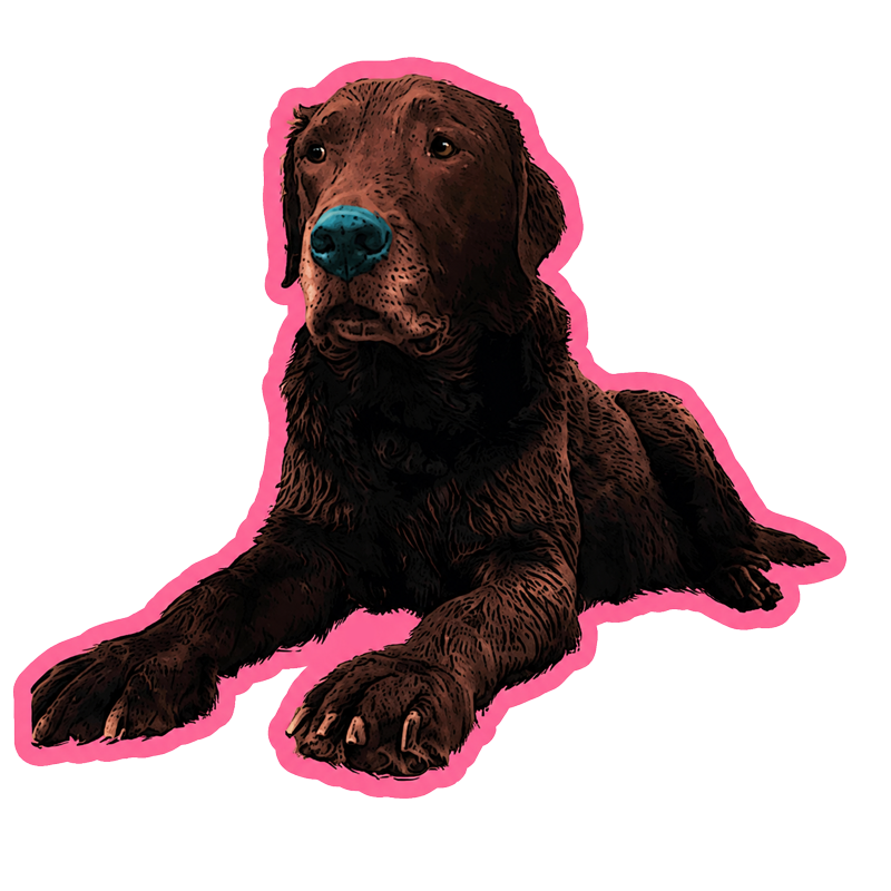 Dog-Cut-out