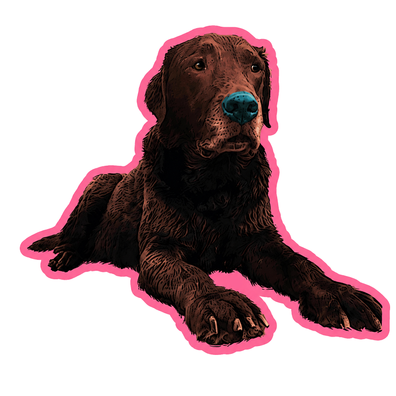 Dog-Cut-out
